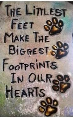 graffiti written on the side of a wall with dogs paw prints and words that read, the littlest feet make the biggest footprints in our hearts