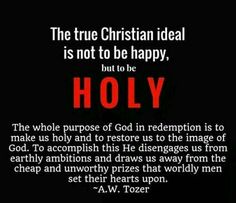 Aiden Wilson Tozer (1897 –1963) was an American Christian pastor, preacher, author, magazine editor, and spiritual mentor. 44 years of ministry, associated with the Christian and Missionary Alliance (C&MA), a Protestant Evangelical denomination. Among the more than 60 books that bear his name, at least two are regarded as Christian classics: The Pursuit of God and The Knowledge of the Holy. His books impress on the reader the possibility and necessity for a deeper relationship with God. Aw Tozer Quotes, Tozer Quotes, Aw Tozer, Soli Deo Gloria, 1 Peter, Daily Bible