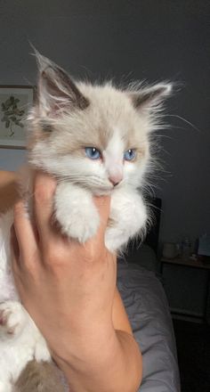 a person holding a cat up to their face with one hand and the other in front of them