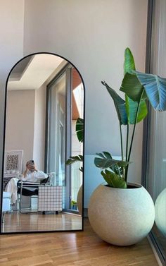 a large mirror sitting on top of a wooden floor next to a potted plant