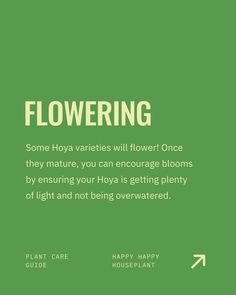 a green background with the words flowering on it