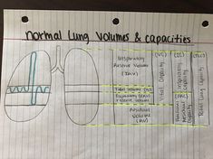 Respiratory Volumes And Capacities, Lung Volumes And Capacities, Respiratory Therapist Student, Respiratory Therapy Student, Medical Notes, Respiratory Care, Respiratory Therapy, Volume And Capacity, Nursing School Studying