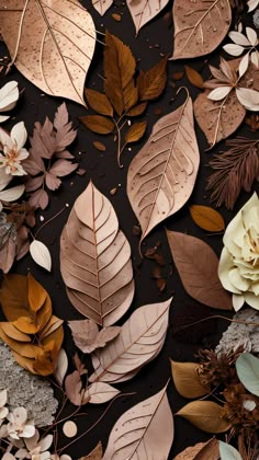 an arrangement of leaves and flowers on a black background with gold, silver, and brown colors