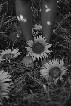 a person standing in the grass with sunflowers