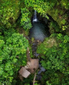 an aerial view of a forest with a waterfall