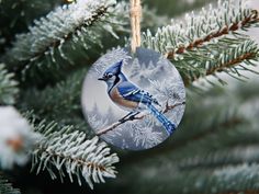 a blue jay ornament hanging from a christmas tree