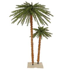 two tall palm trees on a white background