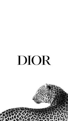 a black and white photo of a cheetah with the word dior above it