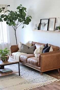 a living room with a couch, coffee table and potted plant on the wall