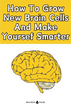 Discover effective strategies to stimulate the growth of new brain cells and enhance your cognitive abilities. Unlock your potential for a smarter you. Brain Tips, Brain Gym Exercises, Brain Healthy Foods, Brain Boosting Foods, Brain Pickings, Memory Retention, Brain Memory, Brain Learning, Brain Facts