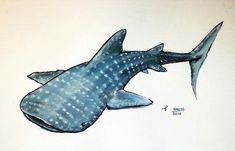 a drawing of a fish with spots on it's body and head is shown