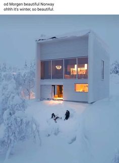 two dogs are outside in the snow near a house that is partially covered with snow