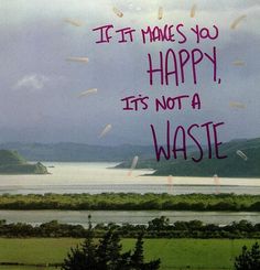 a sign that says if it makes you happy, it's not a waste