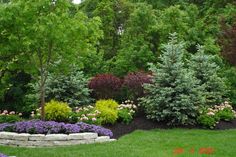 a garden filled with lots of different types of flowers and trees in the middle of it