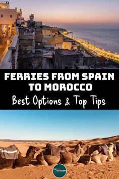 two pictures with the words ferrets from spain to morocco best options and top tips