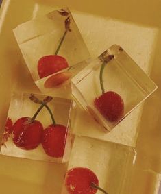 four cherries in ice cubes on a table