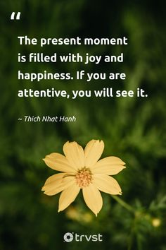 the present moment is filled with joy and happiness if you are attentive, you will see it