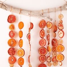 orange slices hanging from a branch on the wall