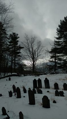 a cemetery in the middle of winter with snow on the ground and trees behind it