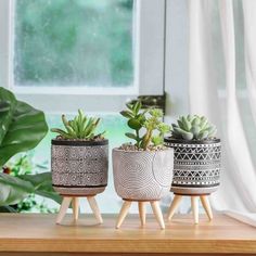 three potted plants sitting on top of a wooden table in front of a window