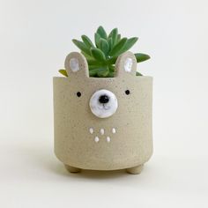 a ceramic planter with a bear face on it's side and succulents in the middle