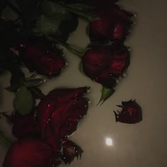 some red roses that are sitting on a table with water droplets all over the surface