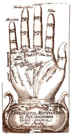 a drawing of a hand with the names of different languages on it, in front of an ornate frame