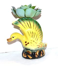 a ceramic duck with succulents on its head and wheels is shown in front of a white wall