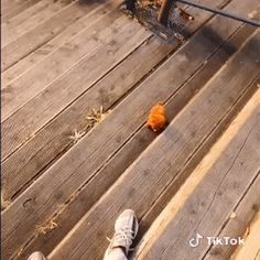 a person standing on a wooden deck with an orange object in the air next to them