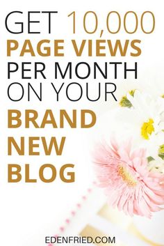 a pink and white flower in a vase with the words get 1, 000 page views per month on your brand new blog