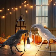 two birds are sitting on the floor next to some pumpkins and lanterns with lights