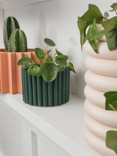 some plants are sitting on a shelf next to each other