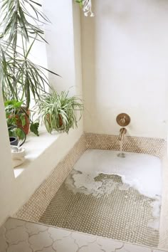 a bath room with a sink and a potted plant on the window sill