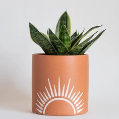 a plant in a pot with the sun painted on it's side, sitting on a white surface