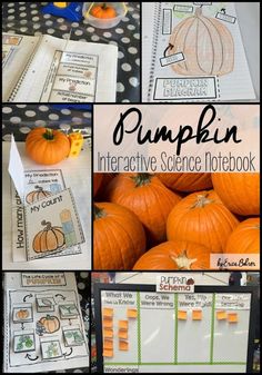 pumpkin interactive science notebooks for kids to practice their writing and spelling skills in the classroom