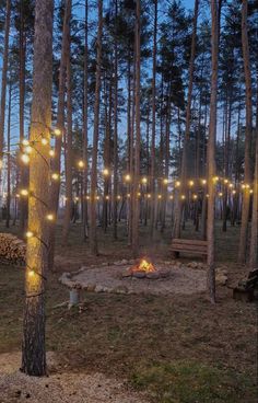 an outdoor fire pit surrounded by trees with lights strung from the top and around it