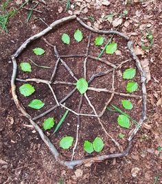 a circle made out of branches with leaves on it in the middle of some dirt