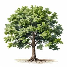 a drawing of a tree with green leaves