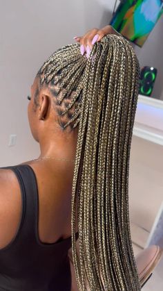 Mixed Color Braids, Color Braids, Braiding Hair Colors, Blonde Box Braids, Goddess Braids Hairstyles