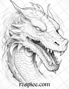 the head of a dragon with sharp fangs