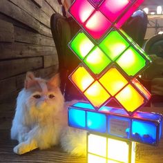 a cat sitting on the ground next to an illuminated rubik cube toy with its eyes open