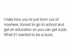 Get A Job, A Duck, Funny Relatable Quotes, Sarcastic Quotes, Funny Tweets, Real Quotes, Funny Laugh, Thoughts Quotes