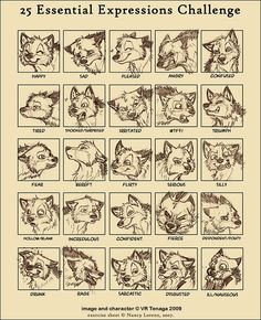 an animal's expressions are shown in this graphic art work, which depicts the various expressions