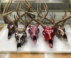 four different colored deer skulls on display in a glass case