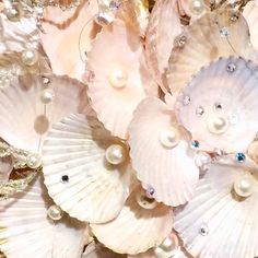 seashells and pearls are arranged together on the beach