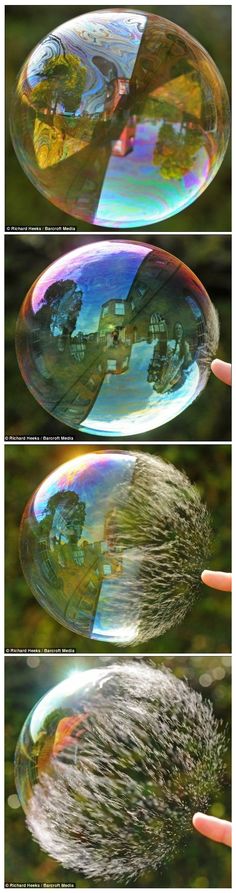 three soap bubbles floating in the air over green grass and water with trees reflected in them