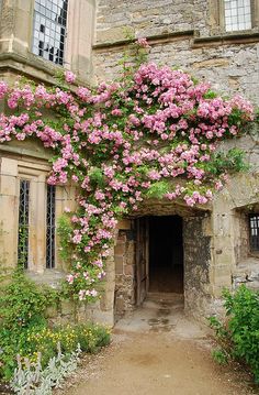 an old building with pink flowers growing on it