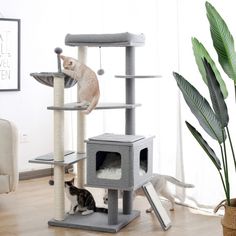 Modern Cat Tree Wood for Large Cats with Sisal Scratching Posts Cat Condos