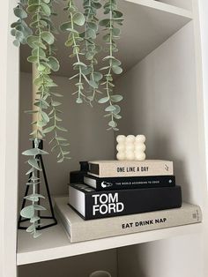 some books are sitting on top of each other in a book shelf next to a plant