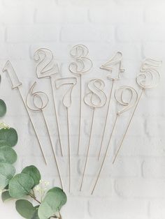 a bunch of numbers sitting on top of a table next to green leaves and flowers